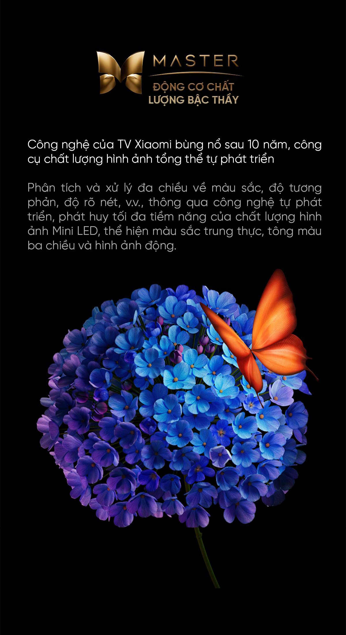 Xiaomi S85 Mini LED