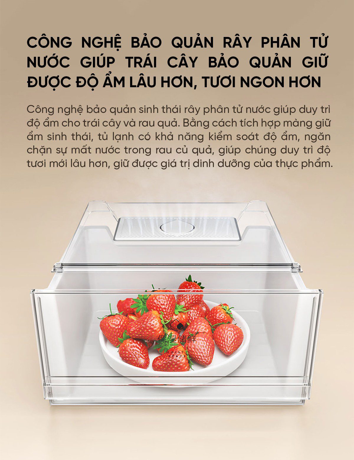 Tủ lạnh Xiaomi Mijia 518L, 4 cửa, có ngăn đông mềm
